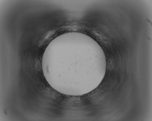 X0000091661446200709131501