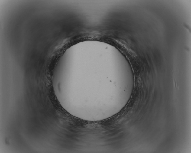 X0000091661447200709131501