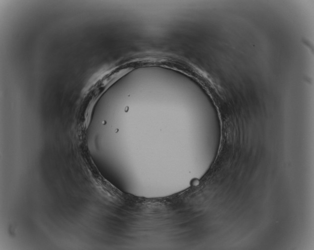 X0000091661448200709131501