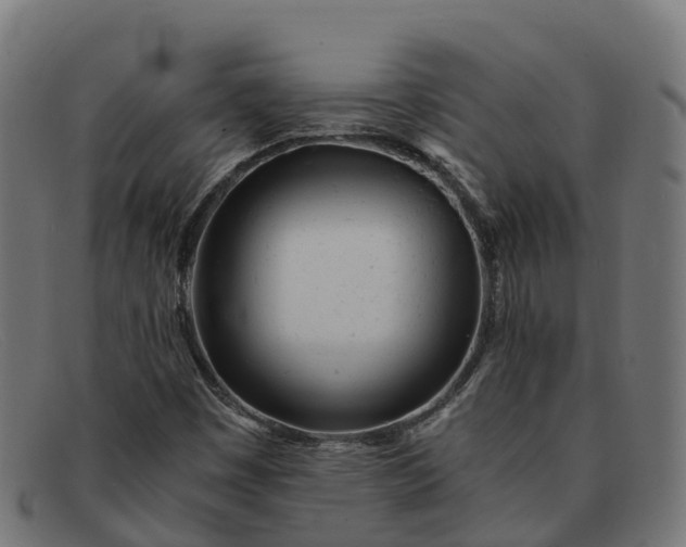 X0000091661449200709131501