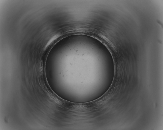 X0000091661450200709131501