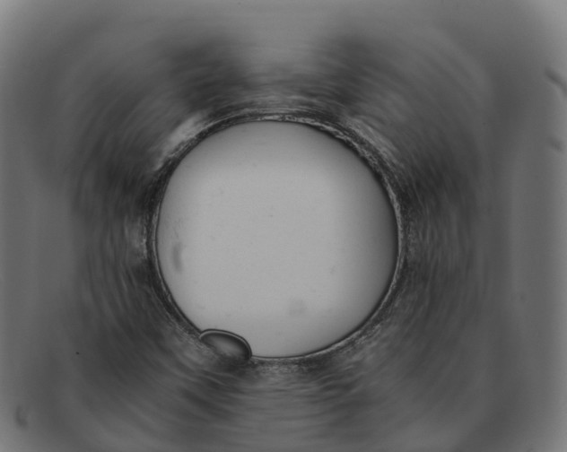 X0000091661451200709131501