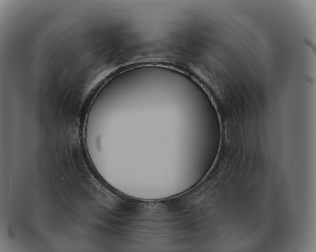 X0000091661452200709131501