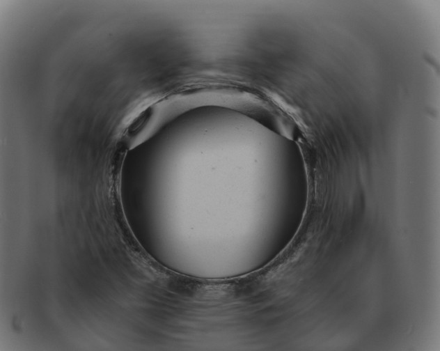 X0000091661453200709131501