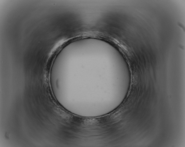 X0000091661454200709131501