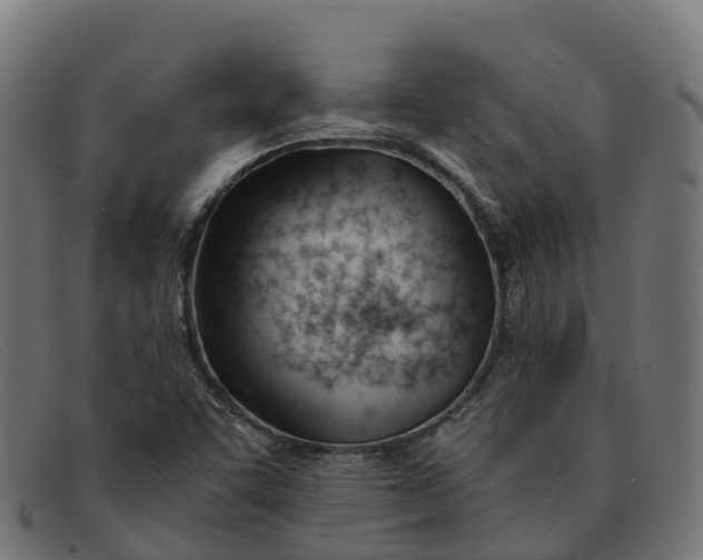 X0000091661455200709131501