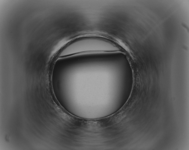 X0000091661456200709131501