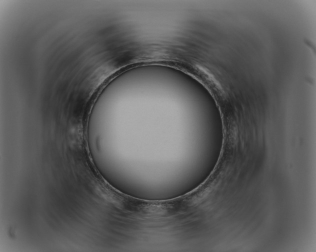 X0000091661457200709131501