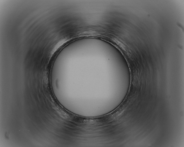 X0000091661458200709131500