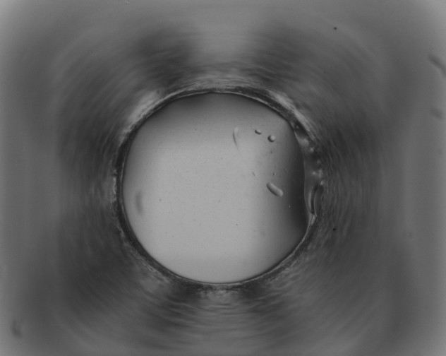 X0000091661459200709131500