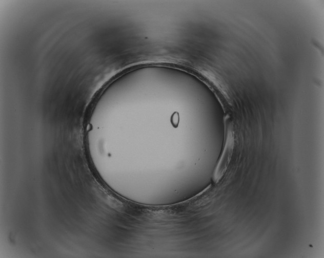 X0000091661460200709131500