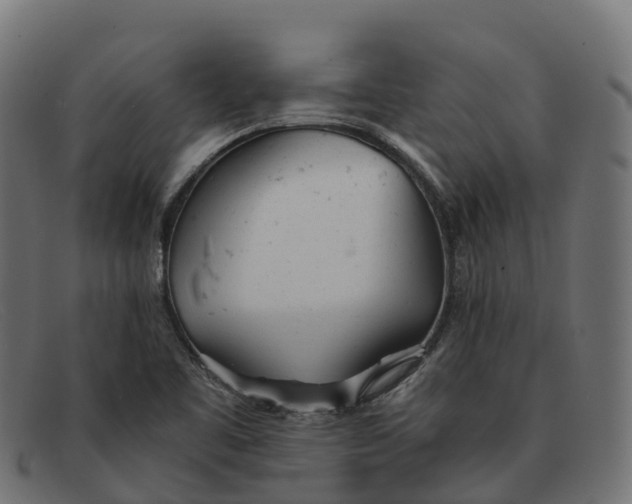 X0000091661461200709131500