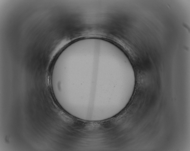 X0000091661462200709131500