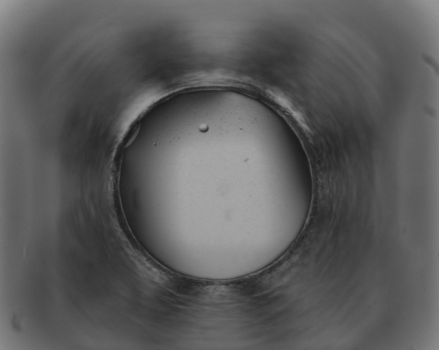 X0000091661463200709131500