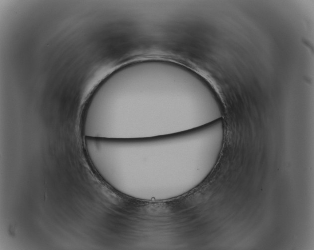 X0000091661464200709131500