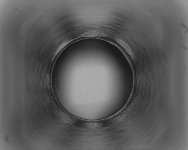 X0000091661465200709131500