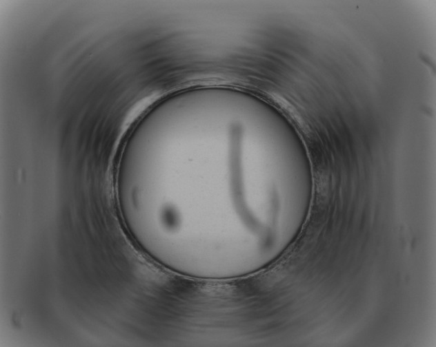 X0000091661466200709131500