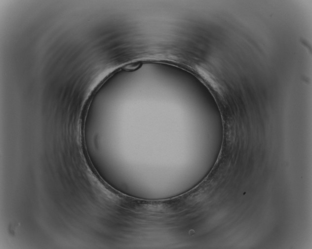 X0000091661468200709131500