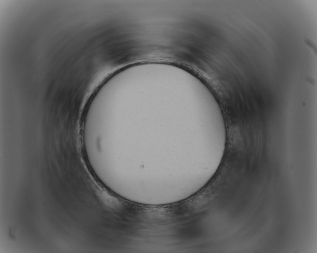 X0000091661470200709131500