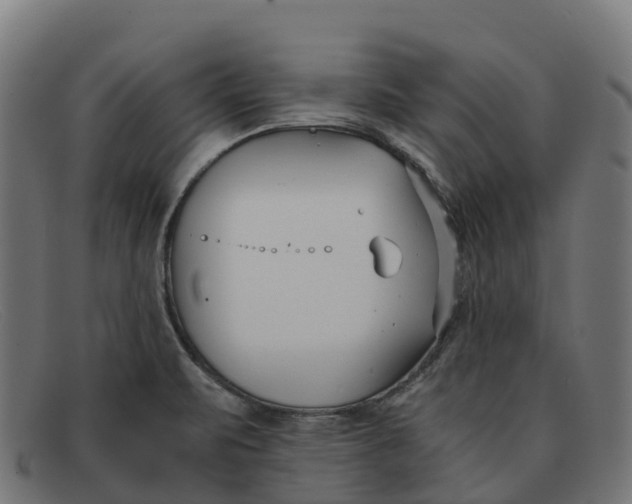 X0000091661471200709131500