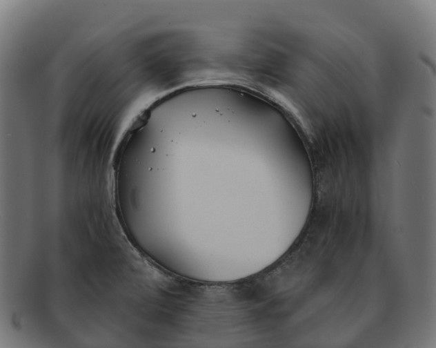 X0000091661472200709131500