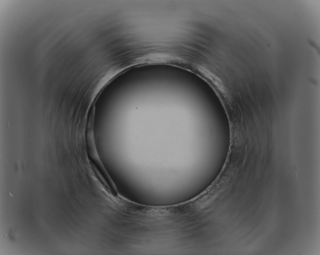 X0000091661473200709131500