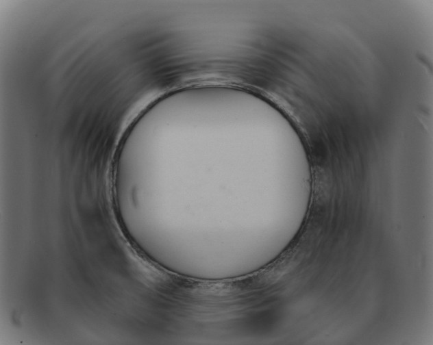 X0000091661474200709131500