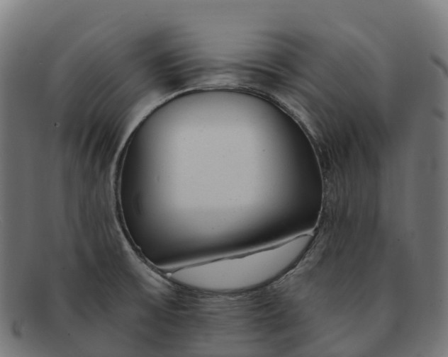 X0000091661475200709131500