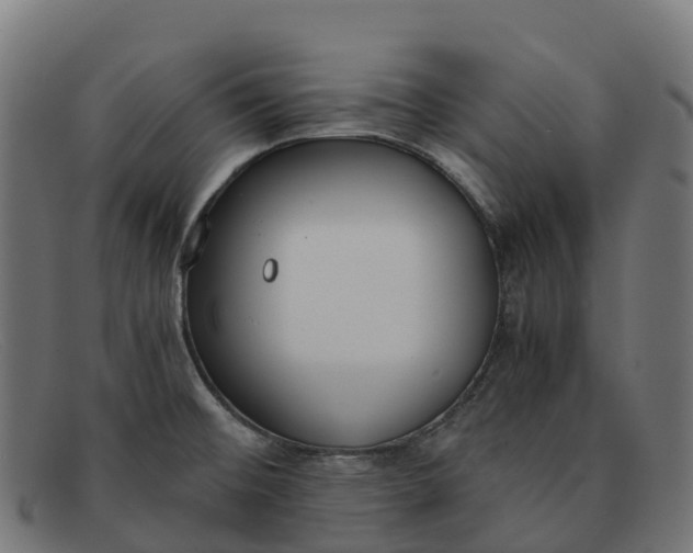 X0000091661476200709131500