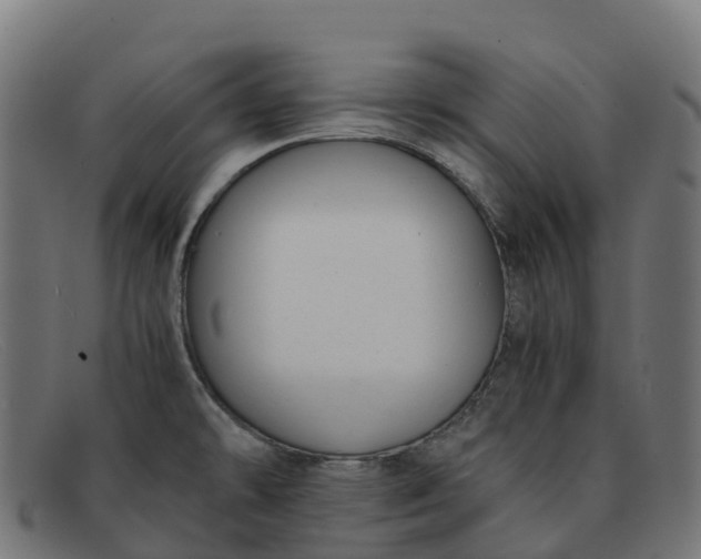 X0000091661478200709131500