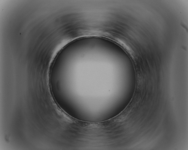 X0000091661480200709131500