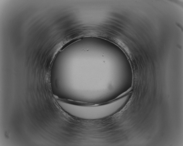 X0000091661481200709131500