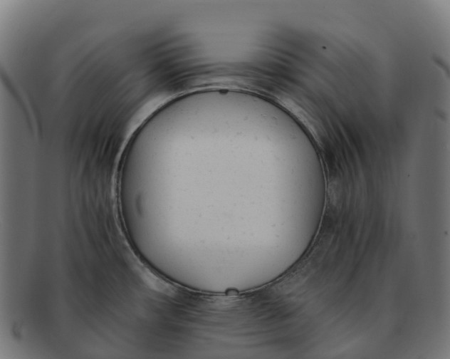 X0000091661482200709131500