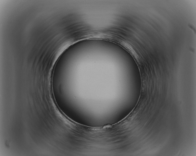 X0000091661483200709131500