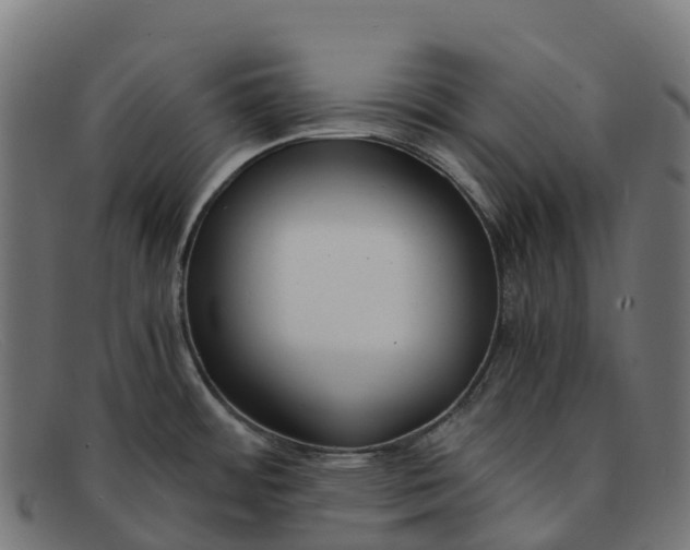 X0000091661484200709131500