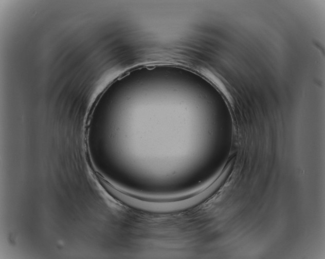 X0000091661485200709131500