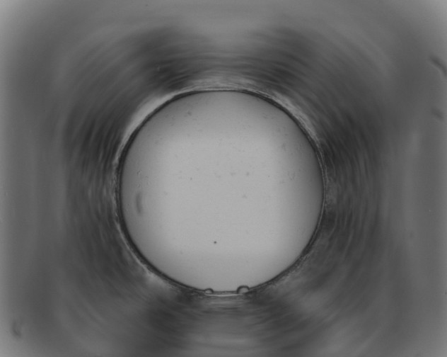 X0000091661486200709131500