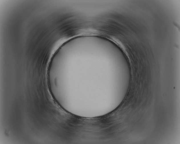 X0000091661488200709131500