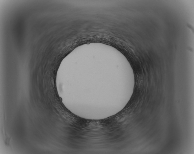 X0000091661489200709131459