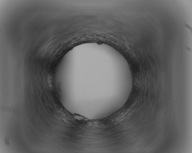 X0000091661490200709131459