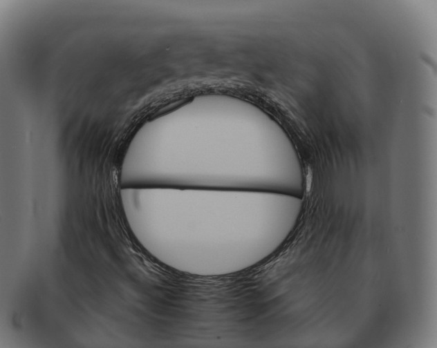 X0000091661492200709131459