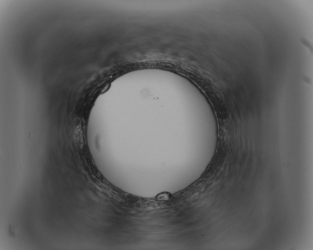 X0000091661493200709131459