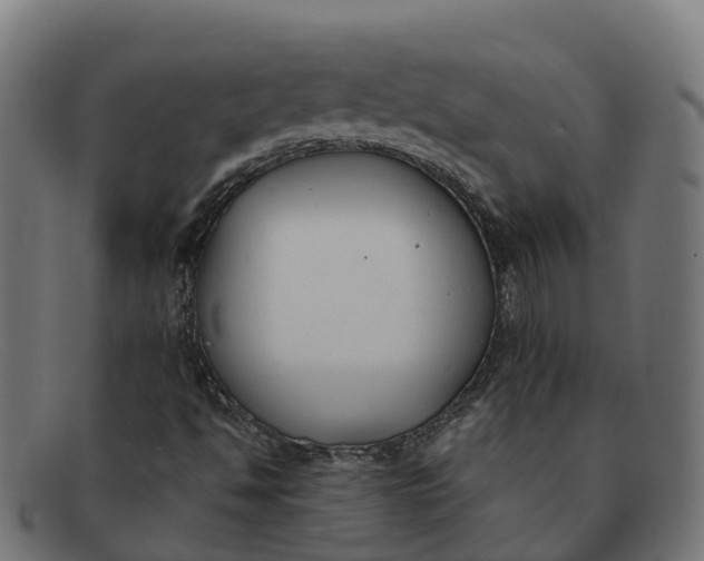 X0000091661494200709131459