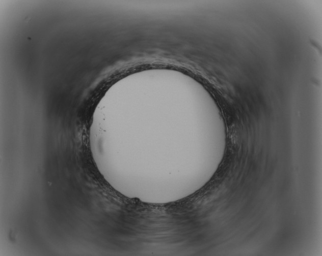 X0000091661495200709131459