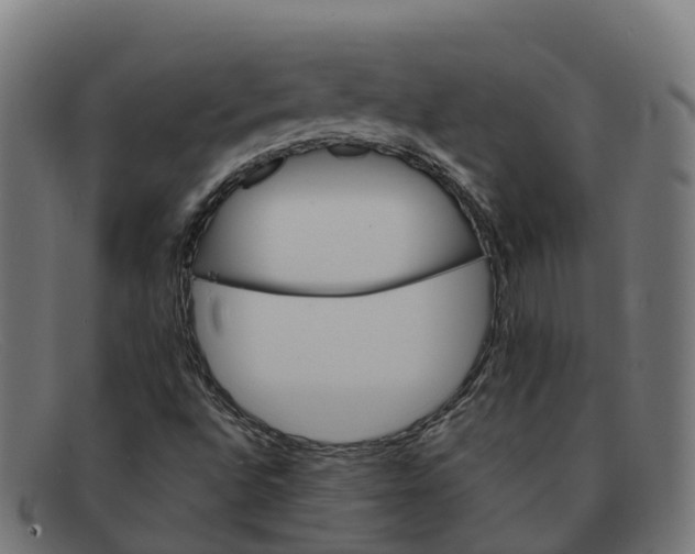 X0000091661496200709131459