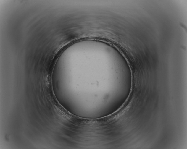 X0000091661497200709131459