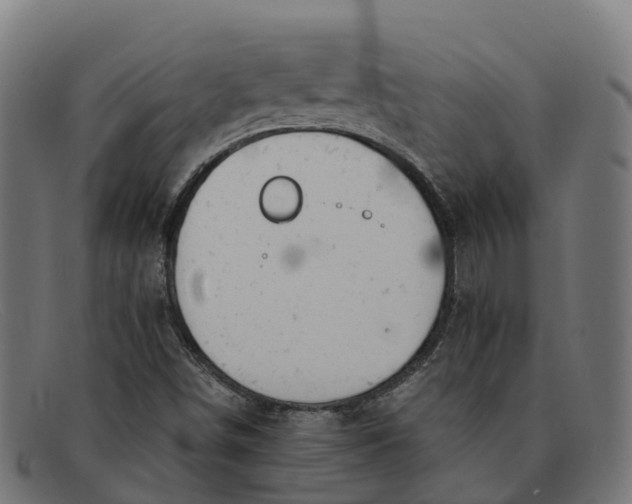 X0000091661498200709131500