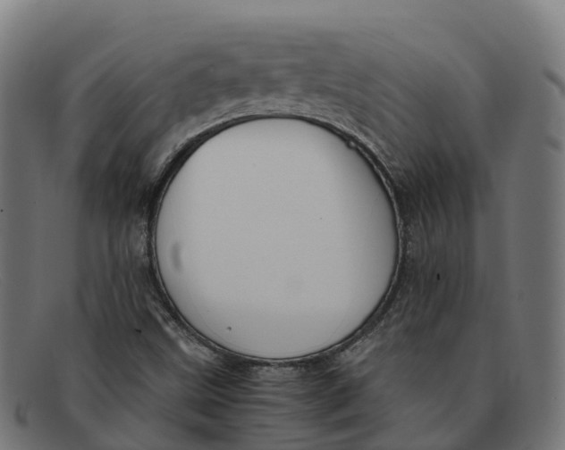 X0000091661499200709131500