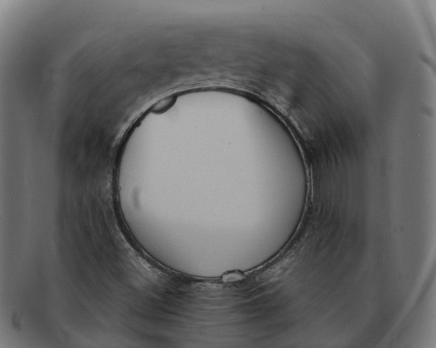 X0000091661500200709131500