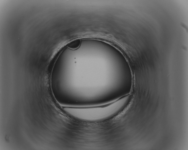 X0000091661501200709131500